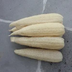 국산 친환경수세미 5개 - 잘만든 30~40cm 천연수세미