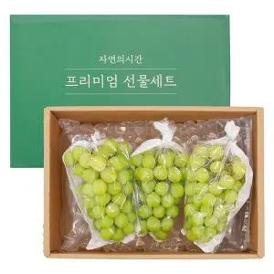 [신세계라이브쇼핑]프리미엄 고당도 샤인머스캣 2kg 특품 (3수) 선물세트 명절선물