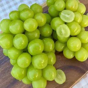 샤인머스켓 선물세트 2kg 과일 추석 명절 선물 세트 답례품