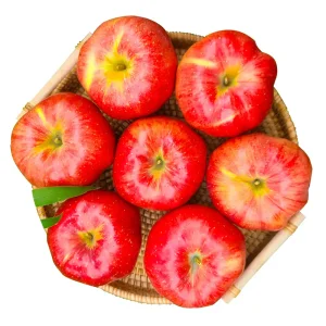 [아침이슬사과]달콤주의보! 첫수확 햇 홍로사과 중과 4kg(15-19)