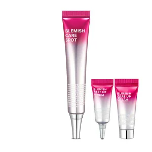 [42%] 아이소이 블레미쉬 케어 스팟 25ml (사용기한 26년 10월 11일까지)
