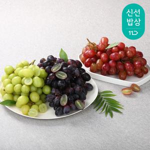 [품질보장]씨없는 고당도 프리미엄 애플청포도(900g+900g)