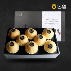 나주APC농협 배선물세트 5kg (6~9과)