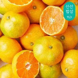 [품질보장] 깨비농원 제주 하우스감귤 4kg 로얄과(S-M)