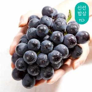 새콤달콤 국내산 캠벨포도 1.5kg (3-4수)