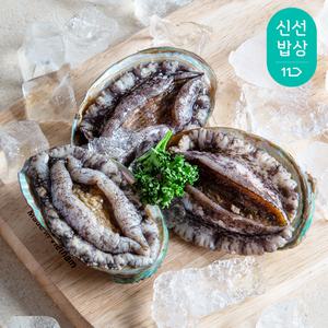 [더이득/4개이상4,000할.인.] *추천* 완도 활 전복 1kg 9-10마리 왕특대 사이즈