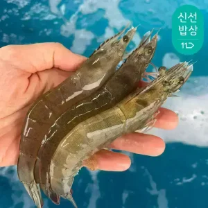 [품질보장] 이순신수산 국내산 흰다리새우 제철 생물 활새우 1kg (대 30-35미)