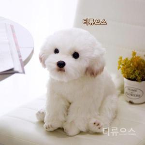 말티즈 인형 꼬순내 진짜같은 강아지 인형 포메라니안 38cm 티류으스