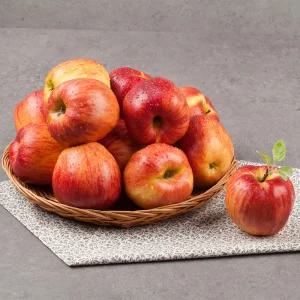 [농할+티멤16910]햇 홍로 4kg 대과 (13-16과내외)경북 고당도 햇사과 / 산지플러스
