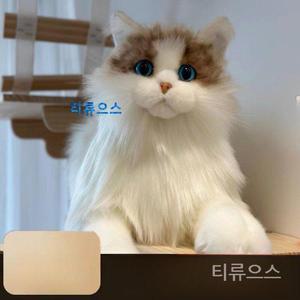 렉돌 진짜같은 고양이 소품 봉제 고양이인형 플러시 인테리 티류으스