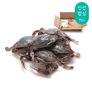 [품질보장]더신선 태안 자연산 통통 활 꽃게 2kg 6-10미/생존율 UP 톱밥포장