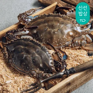 [품질보장]더신선 태안 자연산 통통 활 꽃게 3kg 9-15미/생존율 UP 톱밥포장