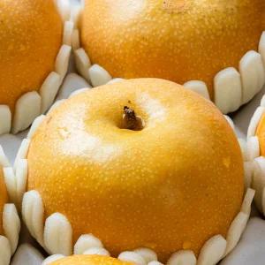 25년 첫 수확 나주배 햇배 가정용 3kg(4-7과)