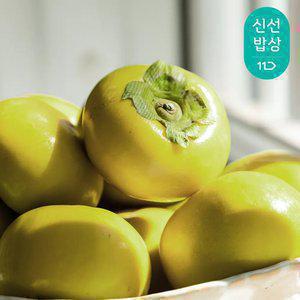 [최종혜택가15,990원]경남 태추 단감 2kg 9-12과내외/아삭한 가을 제철 감