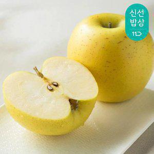 황금사과 국내산 시나노골드 가정용 2kg / 소과 12-14과