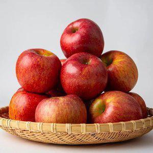 [혜택가9,870원] 경북 햇 홍로 사과 가정용 2kg 8-10과 내외 / 중과