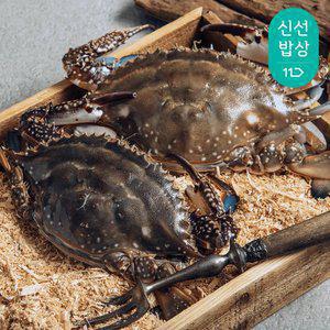 [최종혜택가26,960원]더신선 태안 자연산 통통 활 꽃게 3kg 9-15미/생존율 UP 톱밥포장