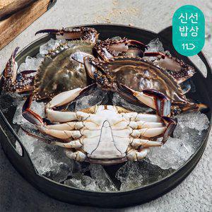 [최종혜택가19,920원]더신선 태안 자연산 통통 활 꽃게 2kg 6-10미/신선도 UP빙장포장