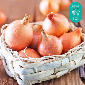 [최종혜택가10,530원]25년 국내산 양파 (중) 10kg