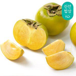 아삭달콤 국내산 태추단감 / 5kg 중과 (26-30과)