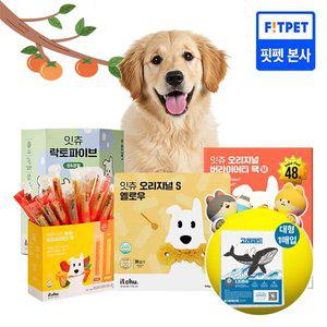 핏펫 잇츄 덴탈껌 간식 대용량 모음전 강아지 양치껌 알러지 방지(+배변패드1매)