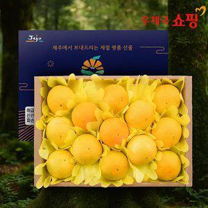 [우체국쇼핑] 천하일품 제주 명절 선물세트 하우스 감귤 황금향 선물세트 2kg, 2.5kg,
