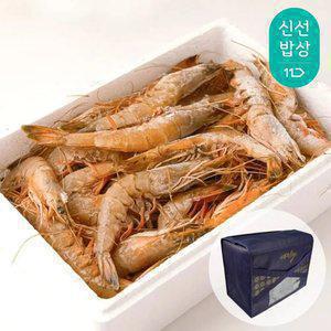 국내산 자연산 대하 2kg 명절선물세트