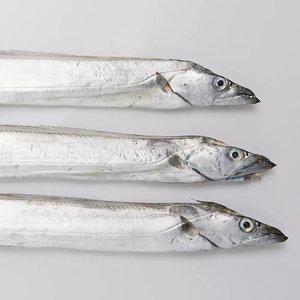 대천해 서해안 갈치 500g + 500g