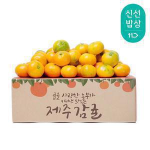 [품질보장] 제주 햇 감귤 3kg 로열소과