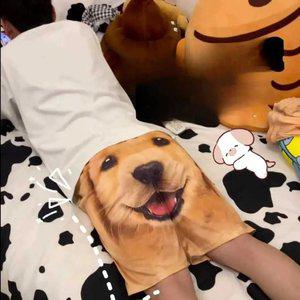 강아지얼굴 반바지 골든리트리버 프린팅 팬츠 그림 웃긴 선물