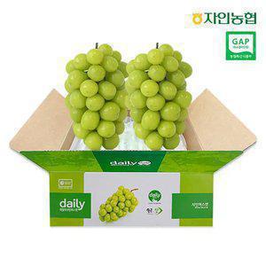 [내일도착] GAP인증 자인농협 샤인머스켓 1.5kg 2-3송이 농협특품