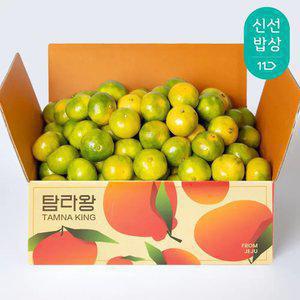 [탐라왕] 제주 타이벡 노지 감귤 4.5kg 소과(2S)