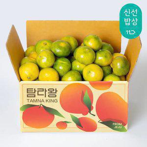 [탐라왕] 제주 타이벡 노지 감귤 3kg 로얄과(S-M)