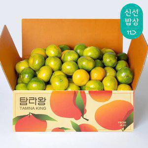[탐라왕] 제주 타이벡 노지 감귤 4.5kg 로얄과(S-M)