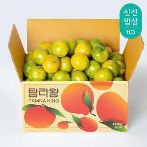 [탐라왕] 제주 타이벡 노지 감귤 3kg 소과(2S)
