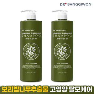 [닥터방기원] 보리밥나무 탈모 샴푸 1Lx2
