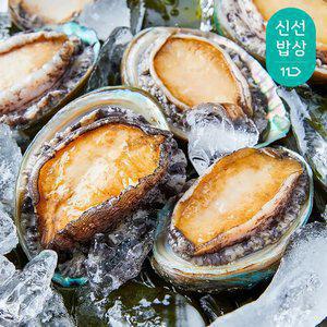 [최종혜택가19,920원]더신선 완도 최상급 활 참전복(특대)1kg 10-11미