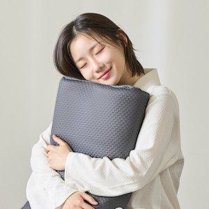 [프로텍트어베드][1+1] 알러씰 진드기차단 방수 메모리폼 베개커버 다크그레이 (40x60cm)