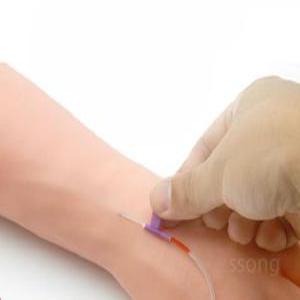 수액 정맥 주사 간호사실습 연습 채혈 팔뚝 모형