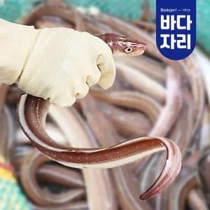 [바다자리](마산점)자연산 손질 바다장어 대(2-3마리/손질 후 600g내외) 1kg 붕장어 통영장어