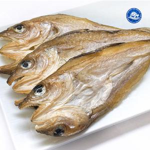 은대구포 1kg 모음 /중부시장도매 대구포 호프 마른 안주 노가리