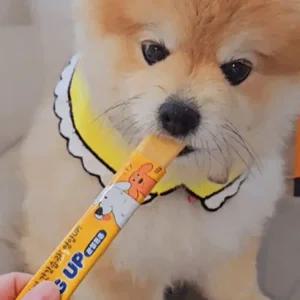 [에그업] 강아지간식 보양식 반려견 대형견 노견 계란간식 강아지츄르 (오리지널/피모반짝/관절튼튼) 3종 12g x 30P(1박스)