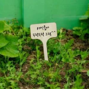 우드 화분 식물 이름표 10개/나무/화단/팻말/텃밭/수목/표찰/꽃/픽/라벨/대형/네임텍/다육이/푯말/네임택