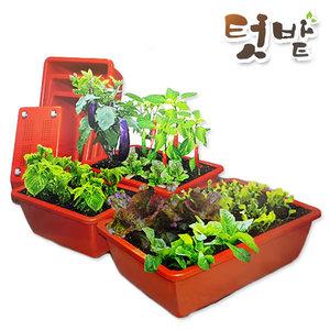 바퀴달린 베란다 텃밭 플라스틱 직사각형 빈화분 상추키우기 플라스틱화분 상추키우기 베란다텃밭