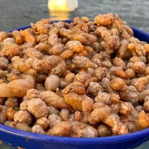국내산 오만둥이 1kg