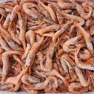 [웰빙미래]독도홍새우 울진홍새우  홍생새우 생새우 1kg 한박스 튀김용 구이용 찜용 각종찌게용