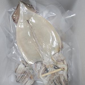 포항 구룡포 반건조 오징어 10마리 500g - 600g