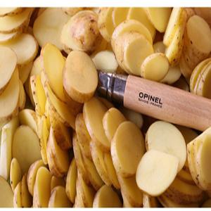 오피넬 접이식 나이프 링잠금기능 MADE IN FRANCE 클래식 10VRI 230MM