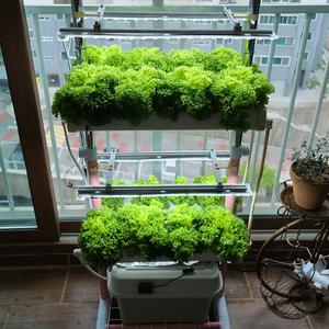수경재배기 hmh-1 미니 양액재배기 1단 2단 led 식물수경재배기 (Hydroponics)