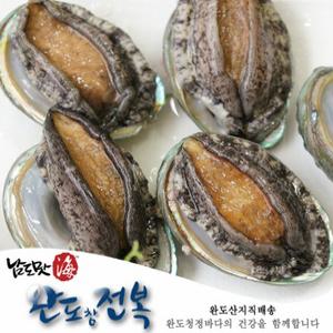 [완도] 참전복 17~18미 1kg(1~2년산) 손질칼,72시간 싱싱
